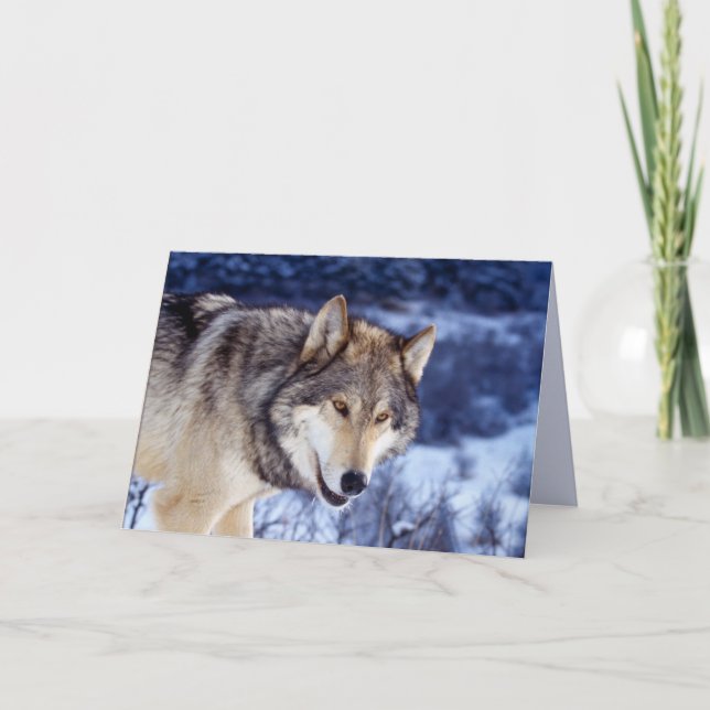 Carte Loup d'hiver 2 (Devant)