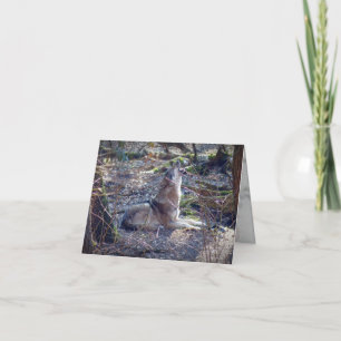 Carte Loup hurlant