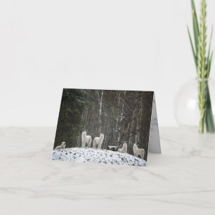 Carte Loup hurlant