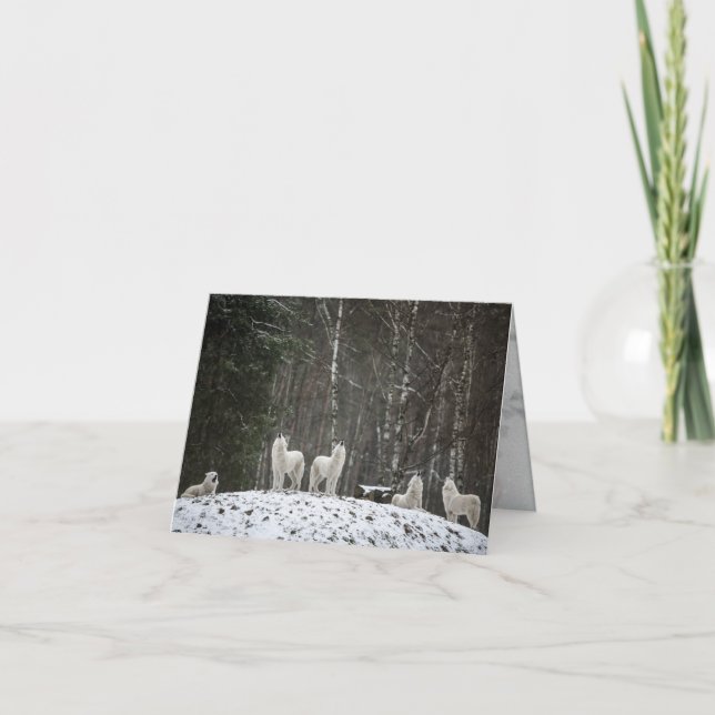 Carte Loup hurlant (Devant)