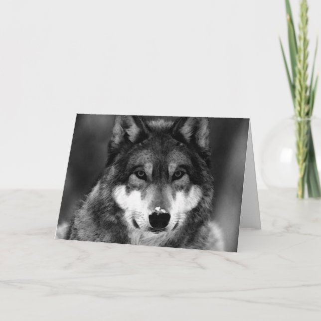 Carte Loup noir et blanc (Devant)