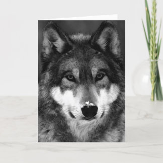 Carte Loup noir et blanc