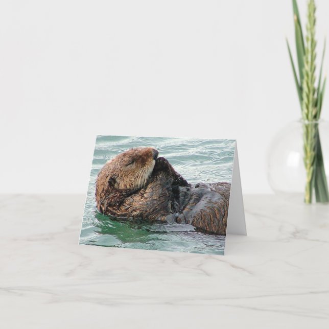 Carte loutre 117c (Devant)