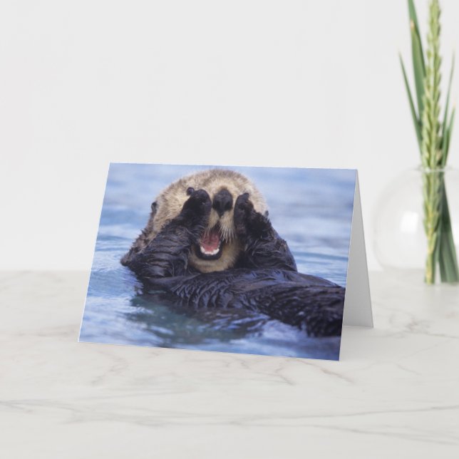 Carte Loutre de mer mignonne | Alaska, Etats-Unis (Devant)
