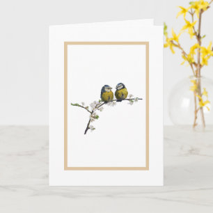 Carte Lovebirds assis sur une branche de fleurs de ceris
