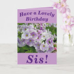Carte Lovely Pink Floral  Birthday Card for Sis<br><div class="desc">Floral birthday card for Sis featuring beautiful purple Primula flowers.  Text can easily be personalised as wished.</div>