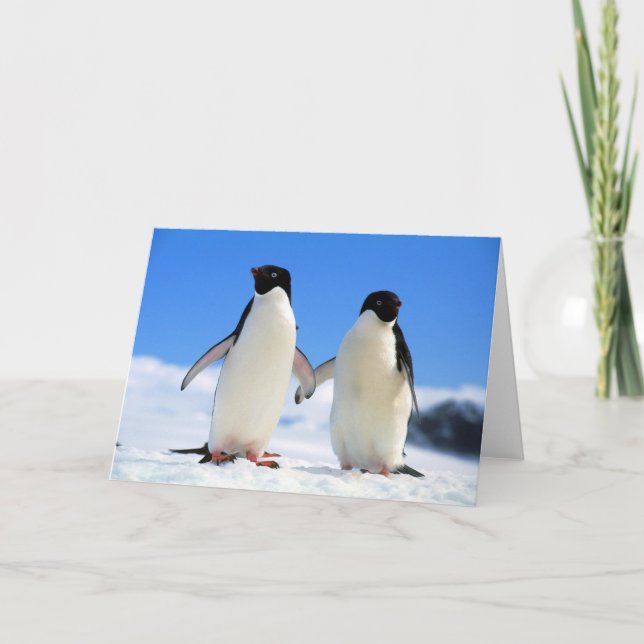 Carte lovers penguins (Devant)