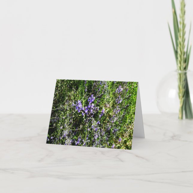 Carte Loving Lavender..... (Devant)