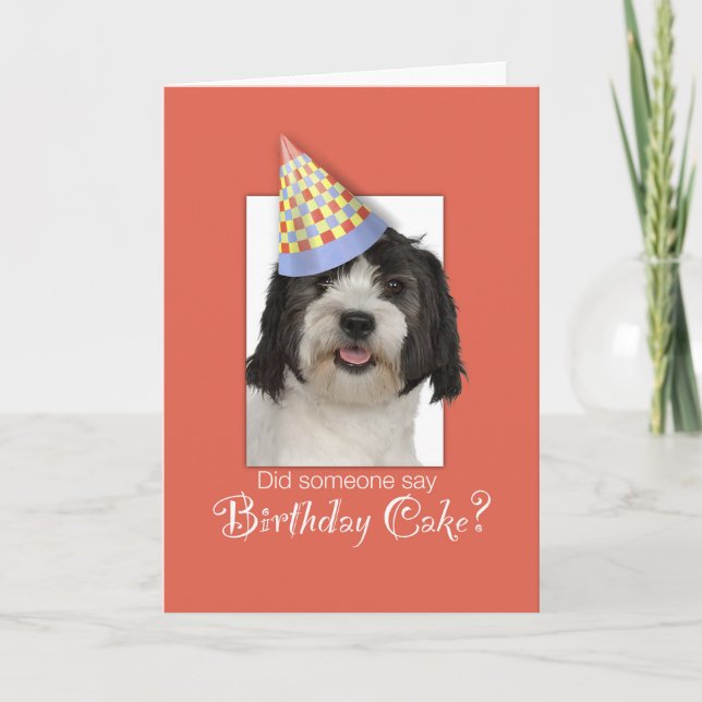 Carte LowchenL Chien drôle Casquette d'anniversaire, Arr (Devant)