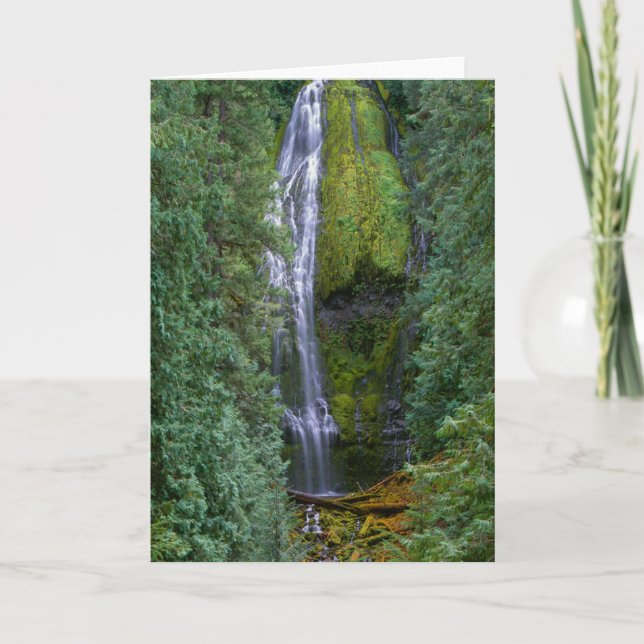 Carte Lower Proxy Falls | Forêt nationale de Willamette (Devant)