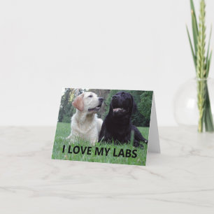Carte LR J'adore mes laboratoires avec image