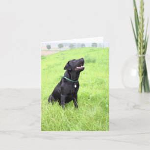 Carte LR noir assis