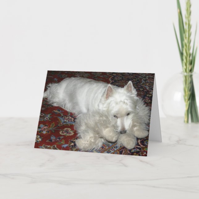 Carte Lucy avec son bébé (Devant)