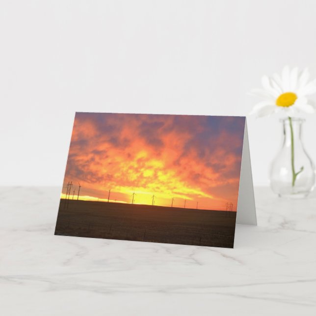 Carte Lumière du matin (Petite plante)