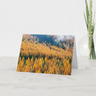 Carte Lumière du matin sur la plage Île Tybee