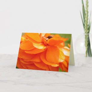 Carte Lumière du soleil de matin