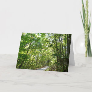 Carte Lumière du soleil sur le chemin boisé à Centennial