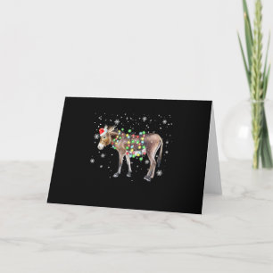 Carte Lumières de Noël de couleur d'âne   Cadeau d'âne d