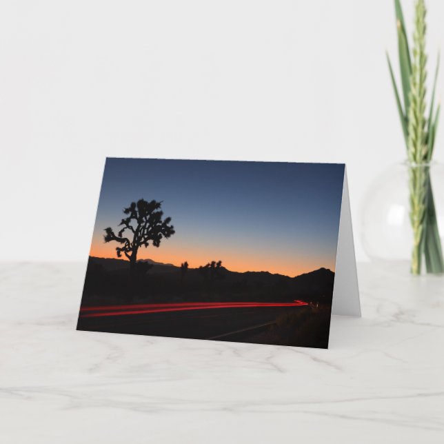 Carte Lumières de queue d'arbre de Joshua (Devant)