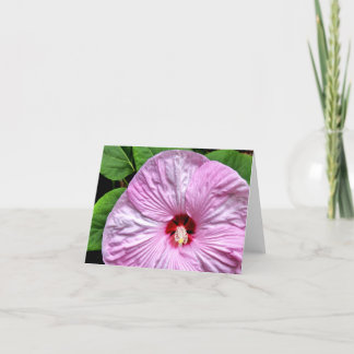 Carte Luna rougissent