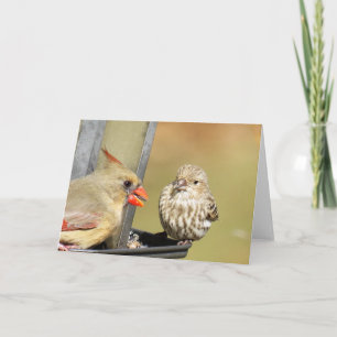 Carte Lunch at the Bird Feeder