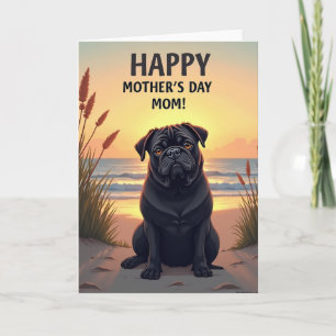 Carte Lustrous Pup Sunset Beach