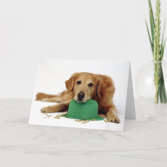 Carte Lutin de golden retriever (Devant)