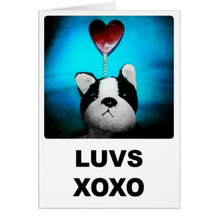Carte Luvs XOXO