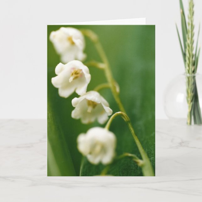 Carte Lys blanc de muguet (Convallaria majalis)  (Devant)