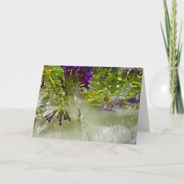 Carte Lys glacés, (Devant)