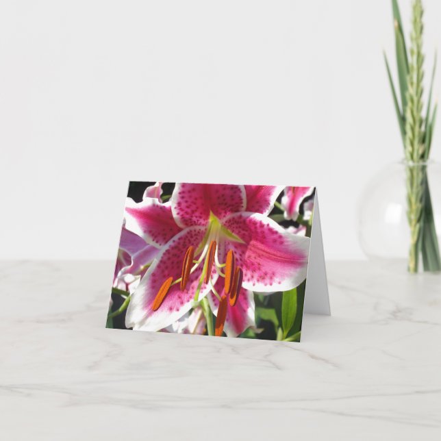 Carte Lys rose fleur rose florale fleur tropicale (Devant)