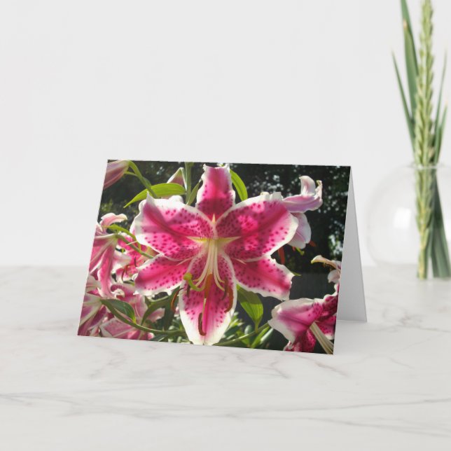 Carte Lys roses fleurs tropicales roses rose (Devant)
