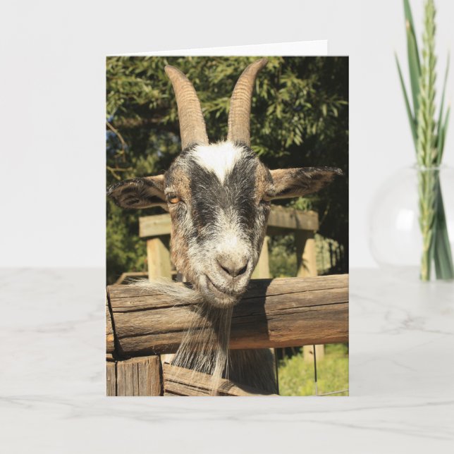 Carte M. Goat (Devant)