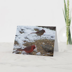 Carte M&Mme. Cardinal Dining