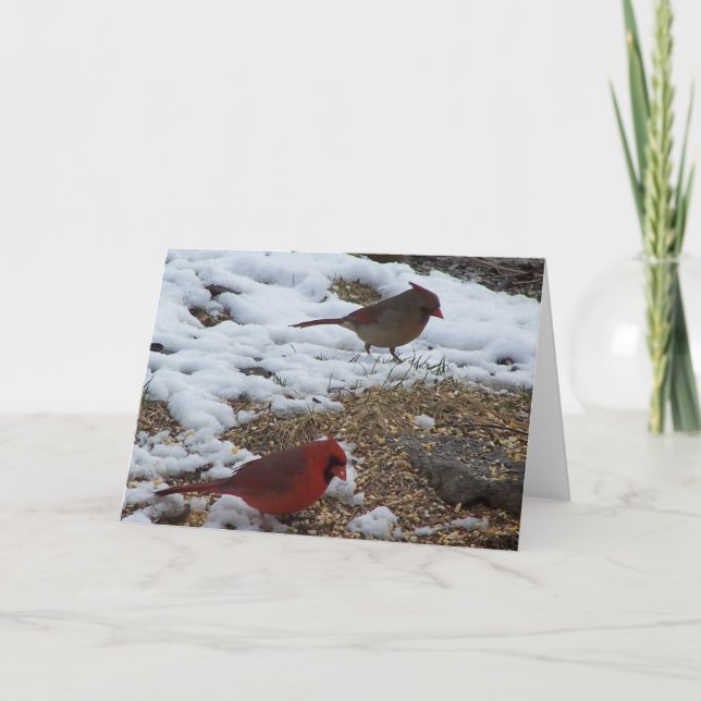 Carte M&Mme. Cardinal Dining (Devant)