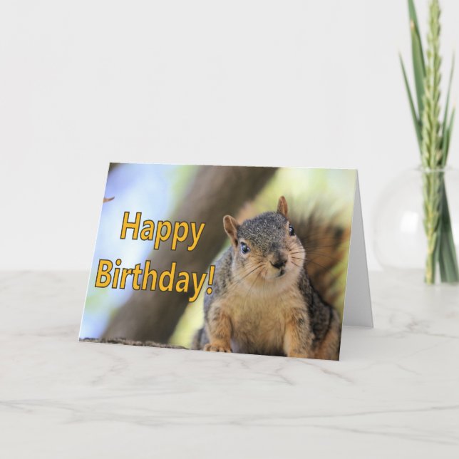 Carte M. Squirrel souhaite un joyeux anniversaire (Devant)
