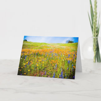 Carte Ma Californie 1