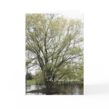 Ma sympathie plus profonde