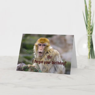 Carte Macaca sylvanus