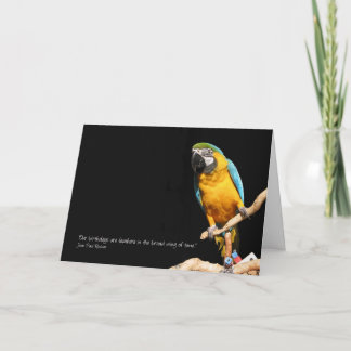 Carte Macaw pour toutes les occasions