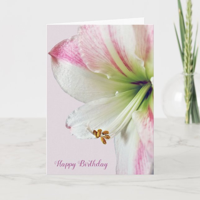 Carte macro d'anniversaire d'amaryllis (Devant)