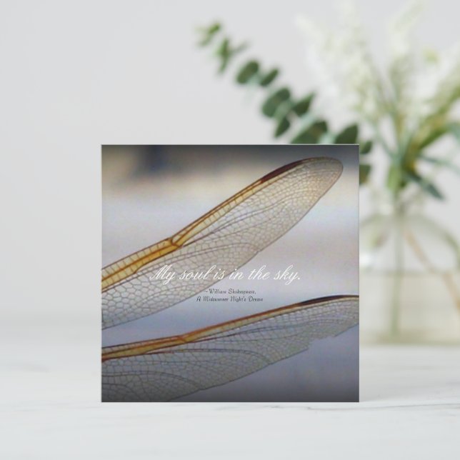 Carte Macro des ailes de libellules avec citation de Sha (Debout devant)