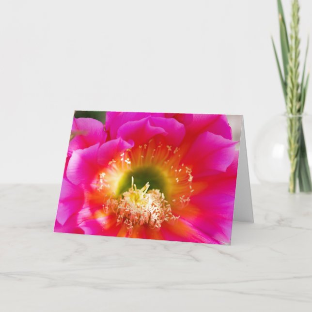 Carte Macro fleur succulente (Devant)