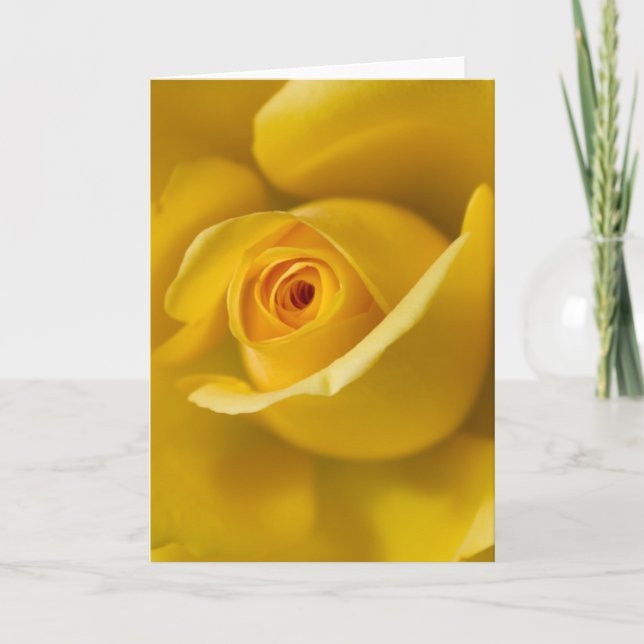Carte Macro Rose jaune (Devant)
