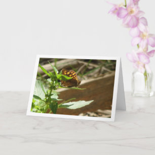 Carte Maculada à papillon en bois moucheté, Aegeria Para