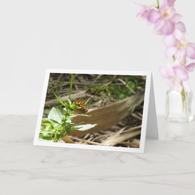 Carte Maculada à papillon en bois moucheté, Aegeria Para (Orchidée)