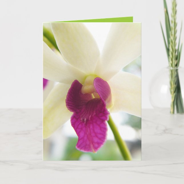 Carte Madame Orchid (Devant)