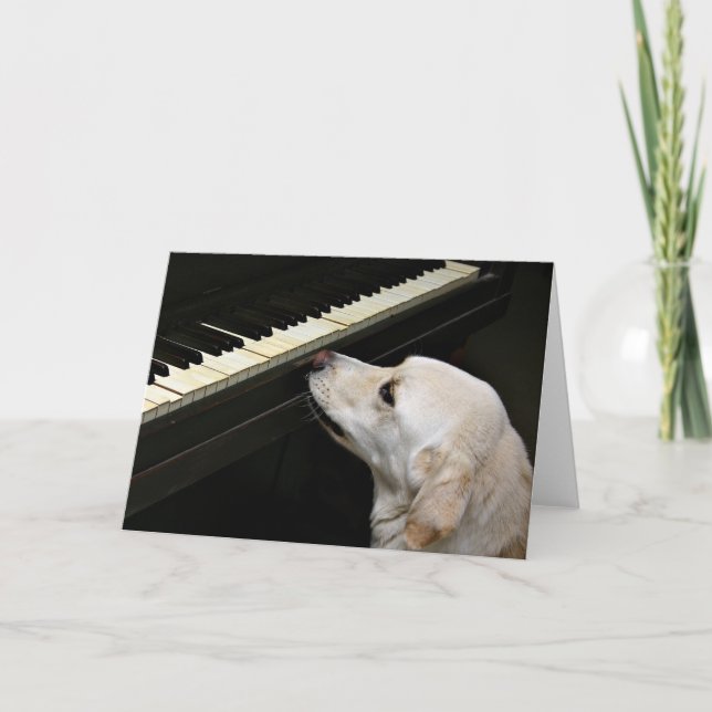 Carte maestro (Devant)