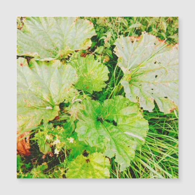 Carte magnétique (Devant)