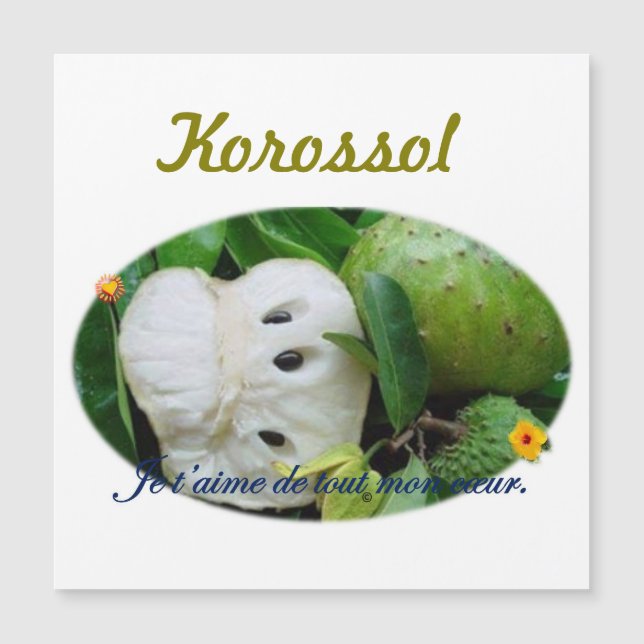 Carte magnétique (Devant)